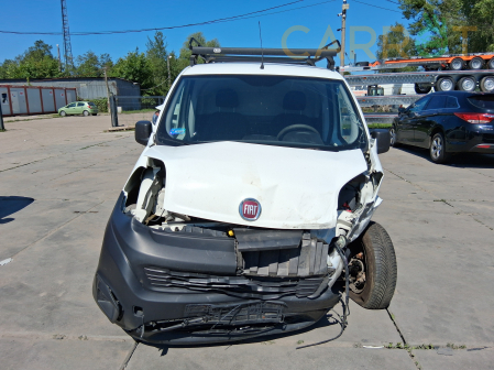 Fiat 2019