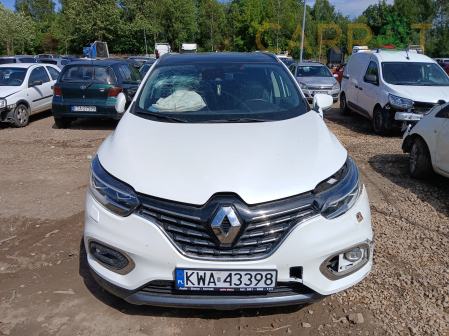 Renault 2019
