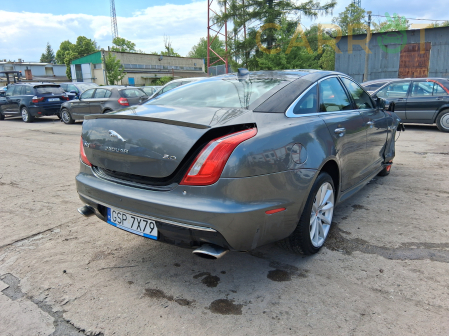 Jaguar 2019 - zdjęcie 6