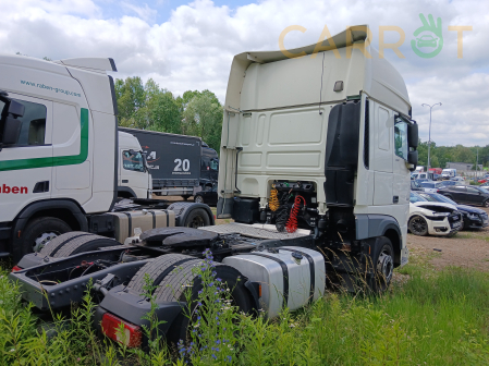 DAF 2019 - zdjęcie 6