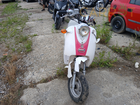 Garelli 2008