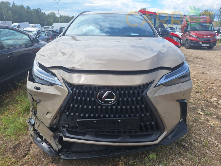 Lexus 2024