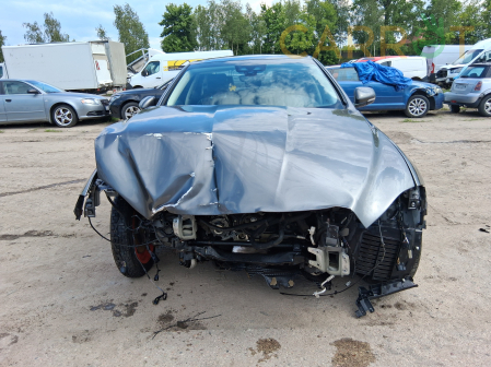 Jaguar 2019