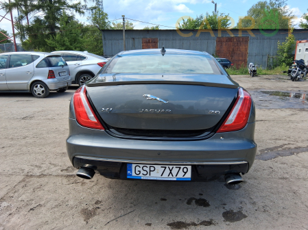 Jaguar 2019 - zdjęcie 5