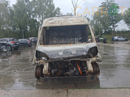 Fiat 2019