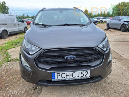 Ford 2019