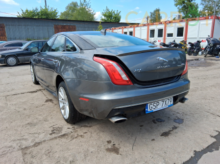 Jaguar 2019 - zdjęcie 4