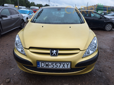 Peugeot 2002