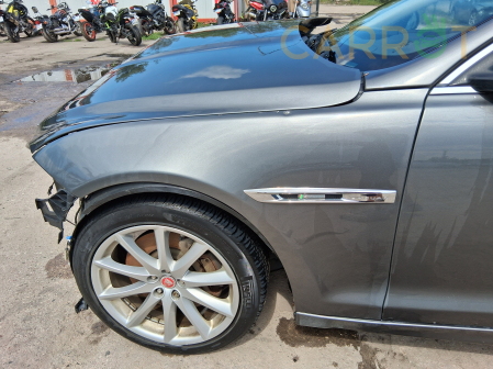 Jaguar 2019 - zdjęcie 8