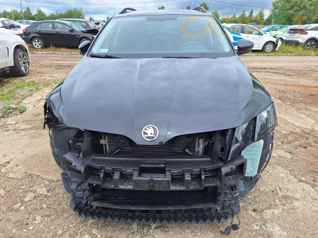 Škoda 2019