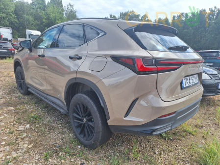 Lexus 2024 - zdjęcie 4