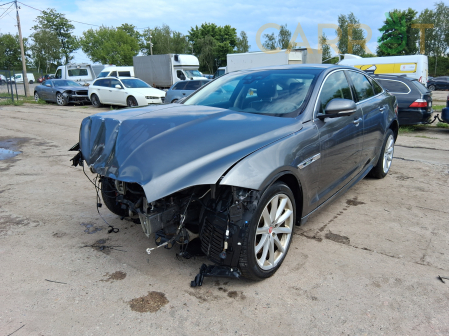 Jaguar 2019 - zdjęcie 2