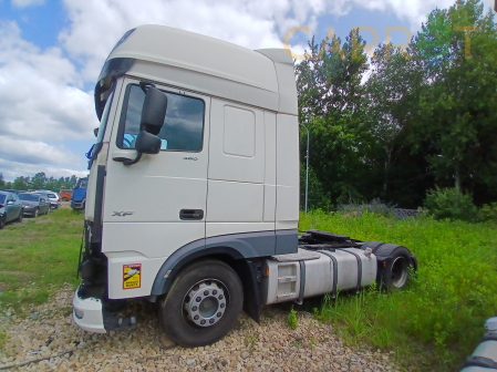 DAF 2019 - zdjęcie 3