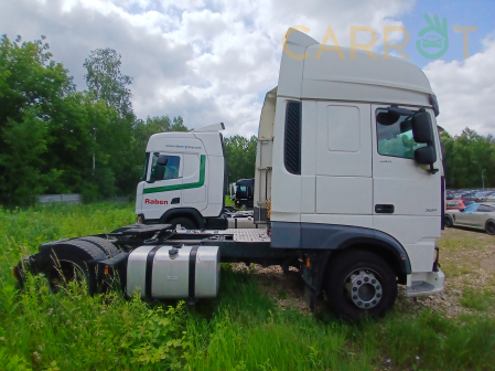 DAF 2019 - zdjęcie 7