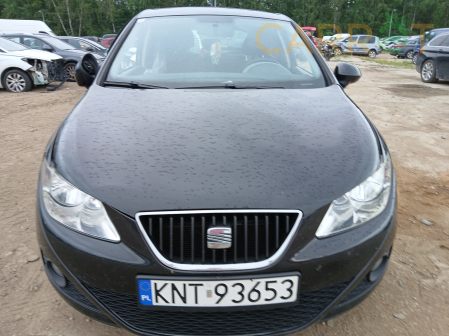Seat 2009